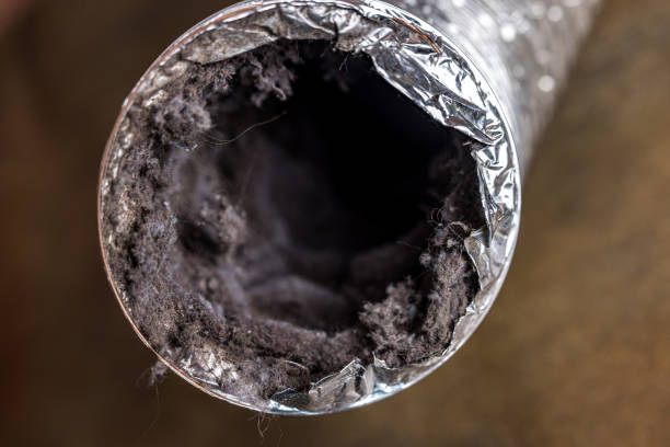 Best Dryer Vent Cleaning Services  in Chester, MD