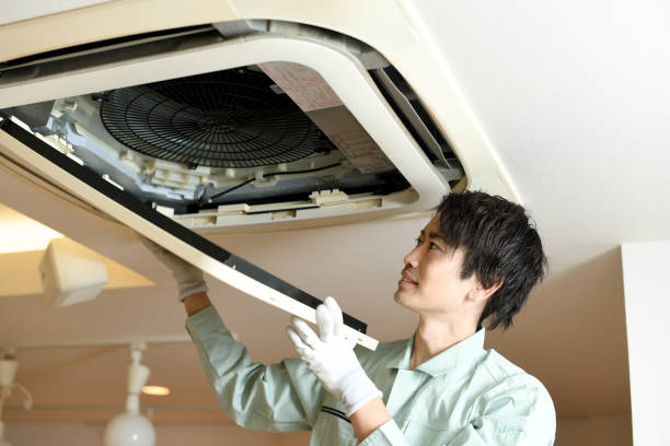 Air Duct Mold Removal in MD
