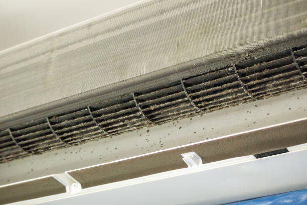 Best Professional Duct Cleaning Services  in Chester, MD